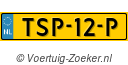 TSP12P