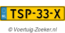 TSP33X