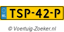TSP-42-P