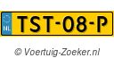 TST08P