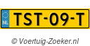 TST-09-T