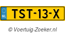 TST13X