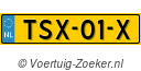 TSX-01-X