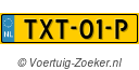 TXT01P