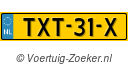 TXT31X