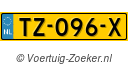 TZ096X