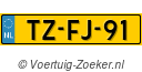 TZ-FJ-91