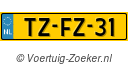TZFZ31