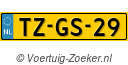 TZGS29