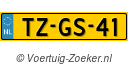 TZGS41