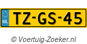 TZGS45
