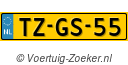 TZGS55