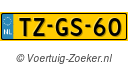 TZGS60