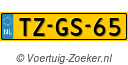 TZGS65