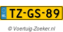 TZGS89