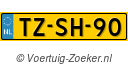 TZSH90