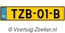TZB01B