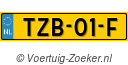 TZB01F