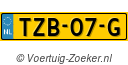 TZB07G