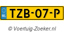 TZB07P