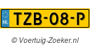 TZB08P