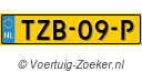 TZB-09-P
