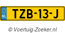 TZB13J