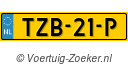 TZB21P