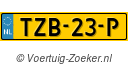 TZB23P