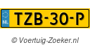 TZB30P