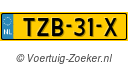 TZB31X