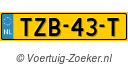 TZB-43-T