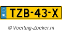 TZB43X