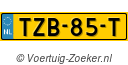 TZB-85-T