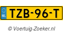 TZB96T