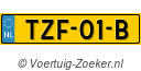 TZF-01-B