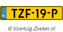 TZF-19-P