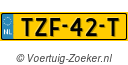 TZF42T