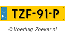TZF-91-P
