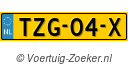 TZG04X