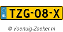 TZG08X