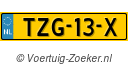 TZG13X