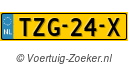 TZG24X