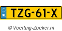 TZG61X