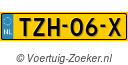 TZH-06-X