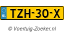 TZH30X