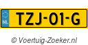 TZJ-01-G