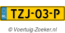 TZJ03P