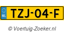TZJ-04-F