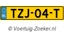 TZJ-04-T